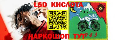 шишки Партизанск