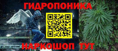 шишки Партизанск
