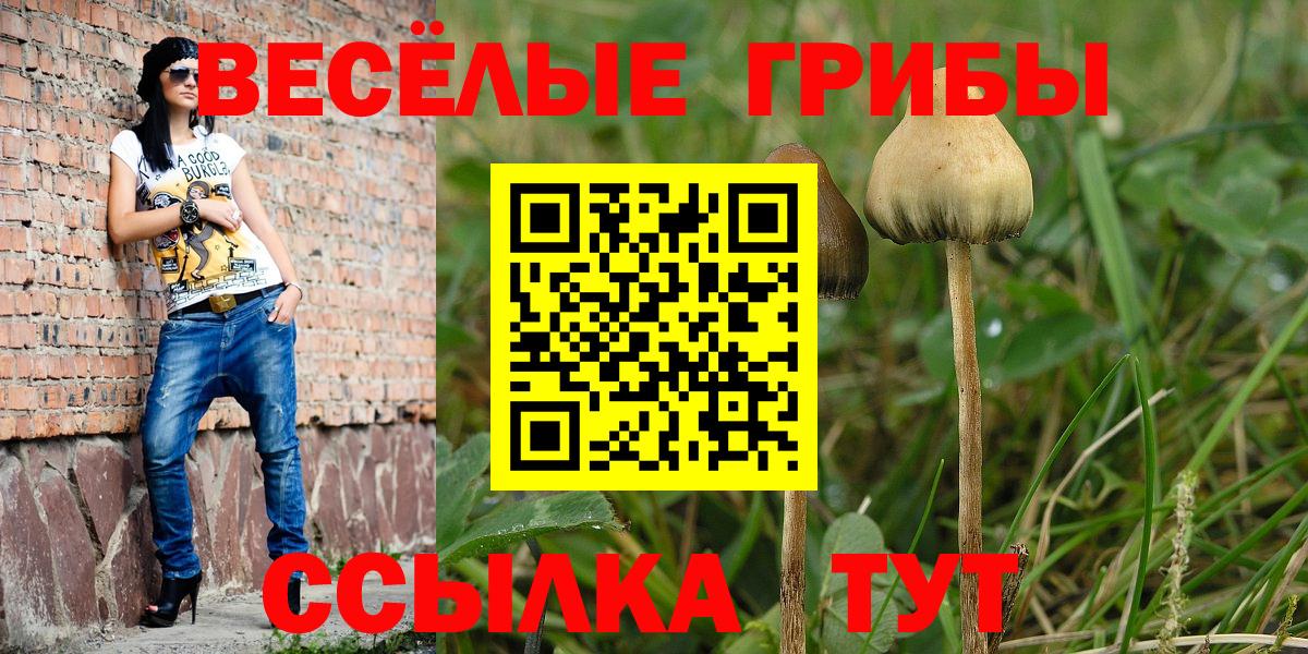 Псилоцибиновые грибы MAGIC MUSHROOMS Сунжа